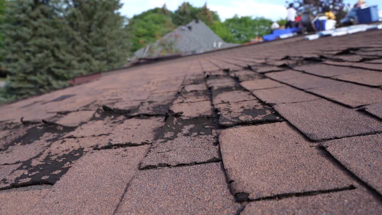 Best Asphalt Shingles Roofing  in North Fair Oaks, CA