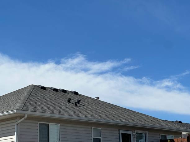 Best Solar Panel Roofing Installation  in North Fair Oaks, CA